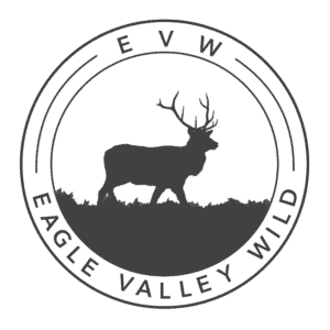 EVW-Logo2.0Transparent-1-300x300