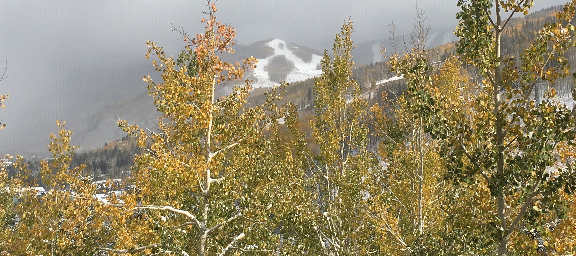 fall-vail