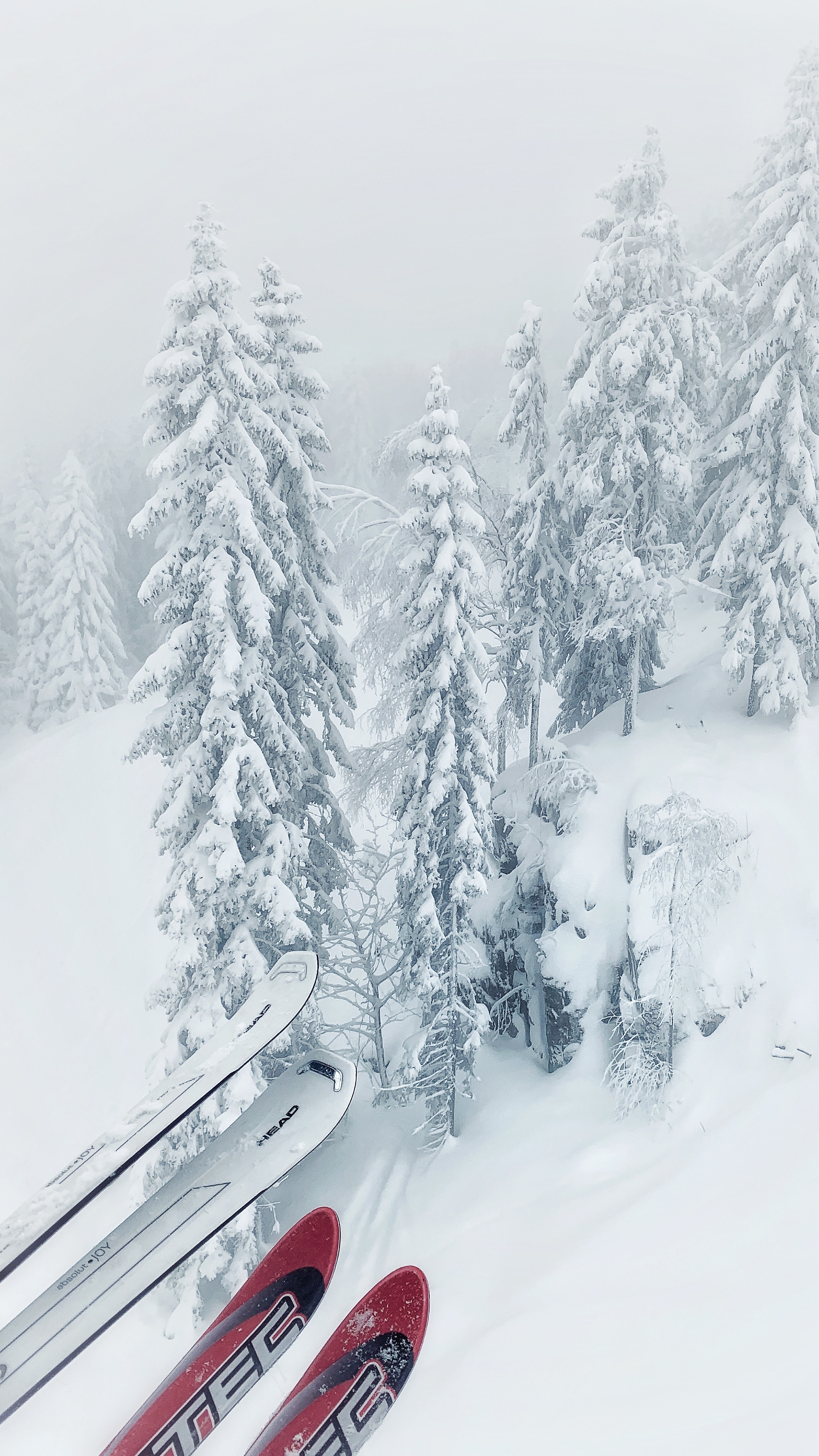 2023/2024 Epic Passes are Now Available!