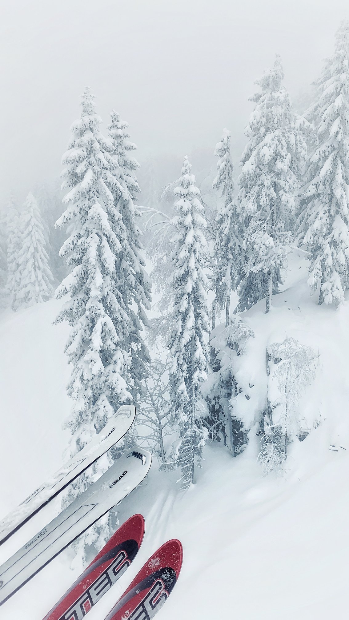 2023/2024 Epic Passes are Now Available!