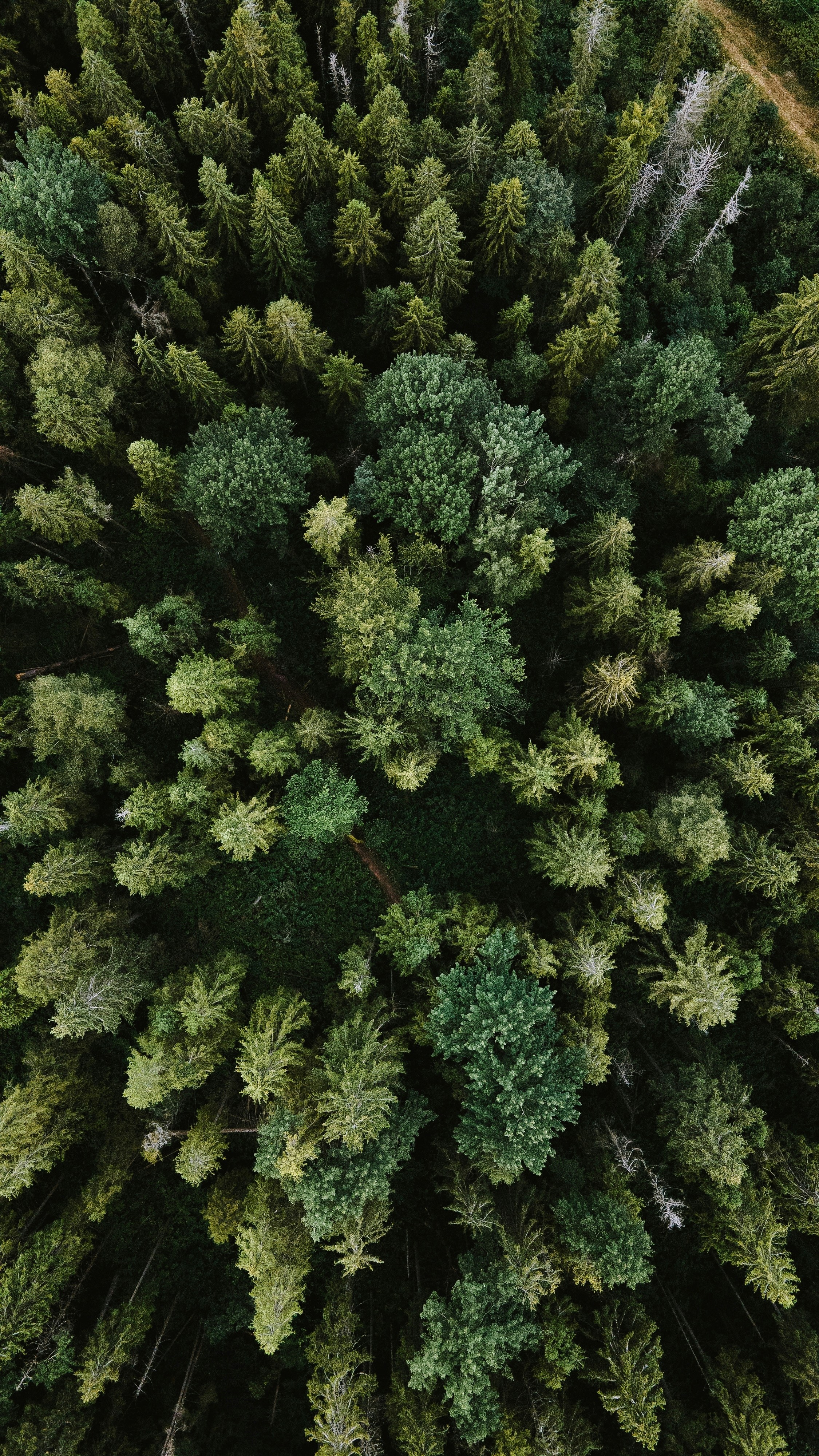 olena-bohovyk-3BlVILvh9hM-unsplash