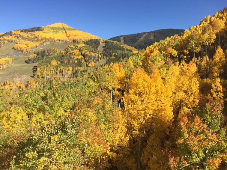 Vail Nightlife & Dining