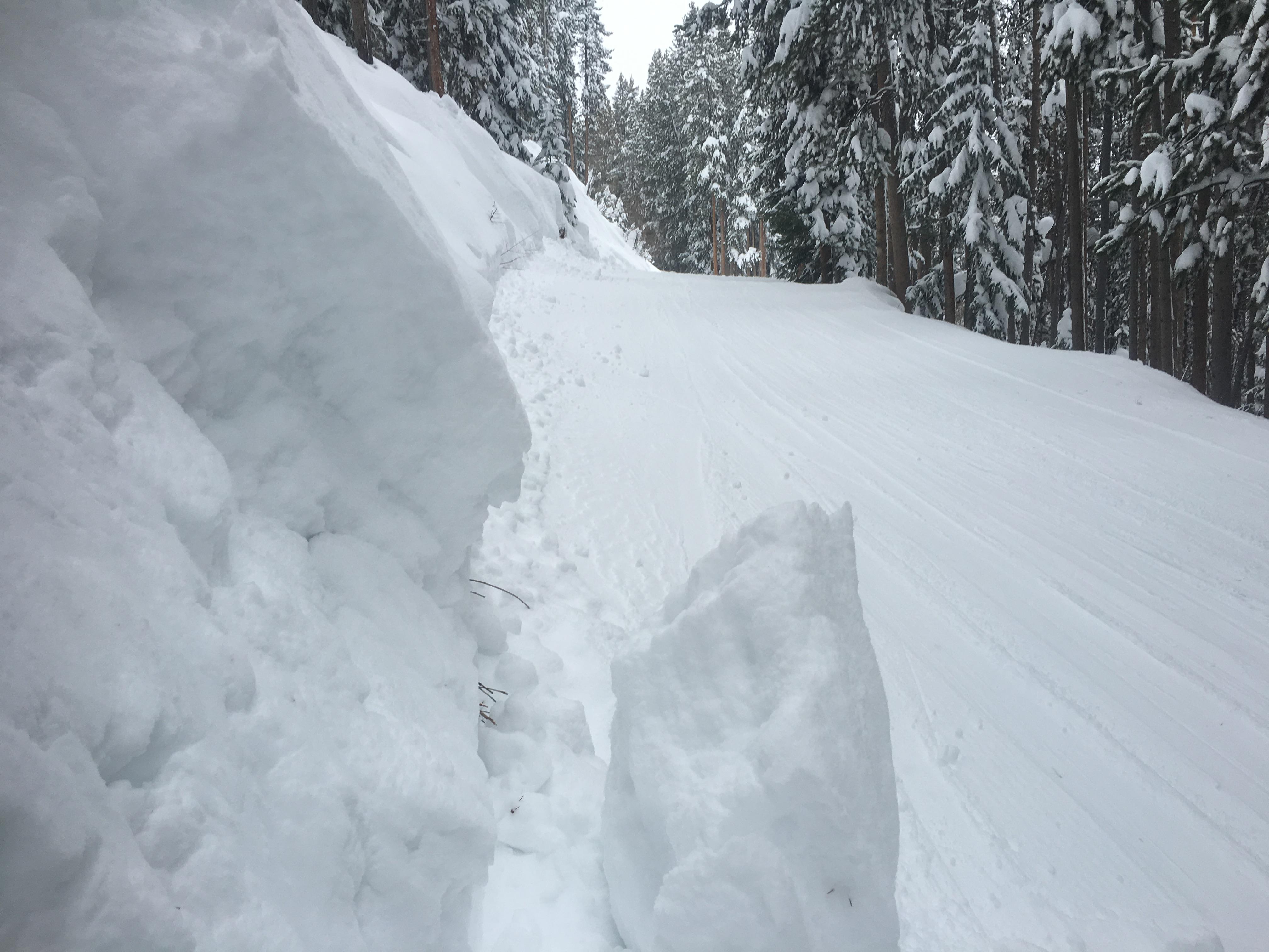 Best powder day runs at Vail by level, beginner through expert